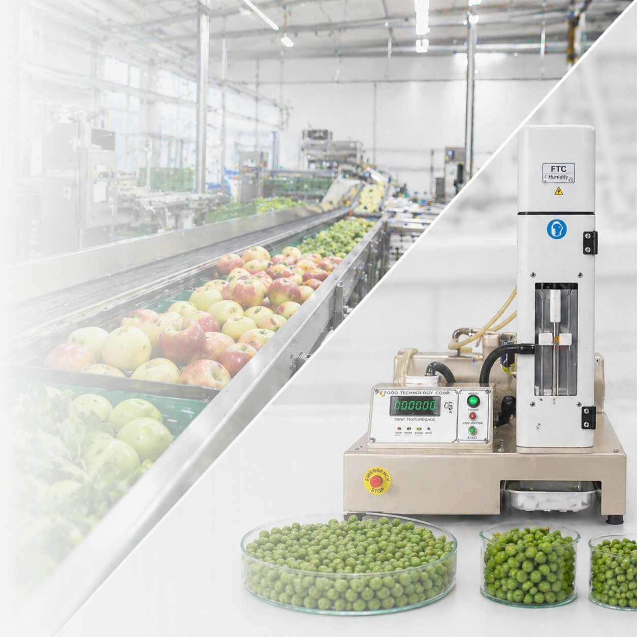 Analyse de fruits et légumes avec du matériel Soluxlab