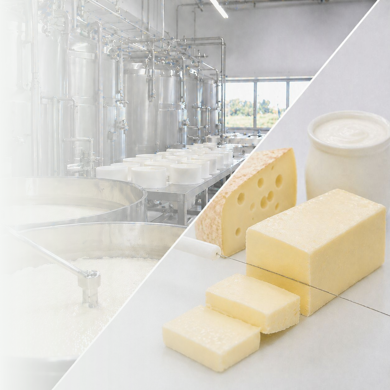 Analyse de produits laitiers avec du matériel Soluxlab