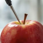 Analyse de texture alimentaire avec sonde sur une pomme
