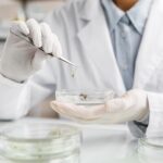 Analyse Soluxlab